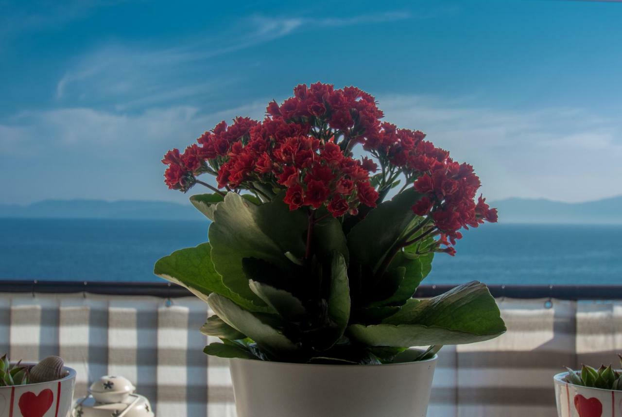 Apartment Paradise View Ριέκα Εξωτερικό φωτογραφία